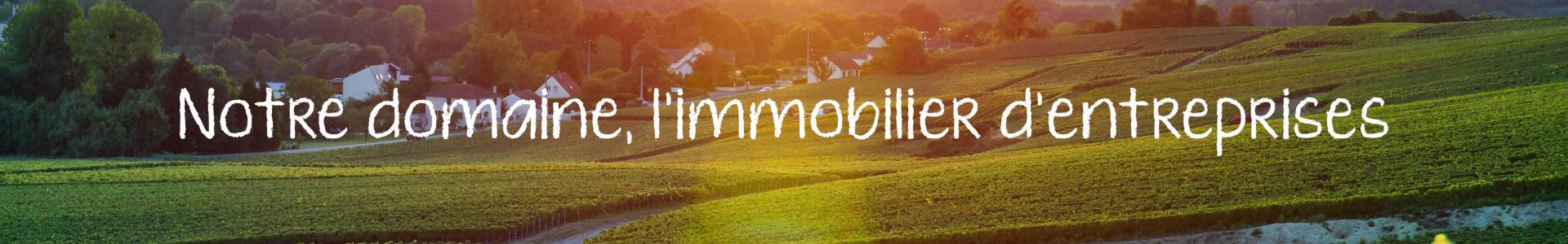 Image de couverture de CBRE Impact