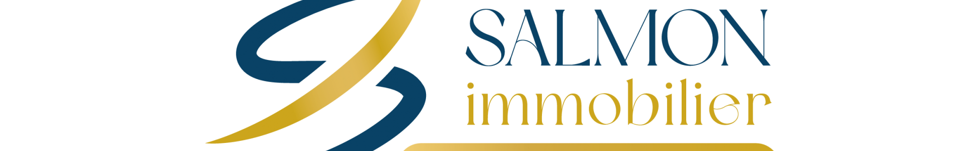 image de couverture de Salmon Immobilier
