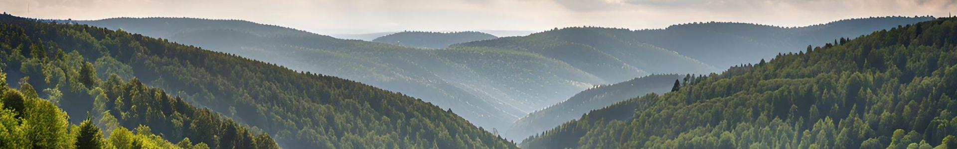 Image de couverture de Jadore Immobilier
