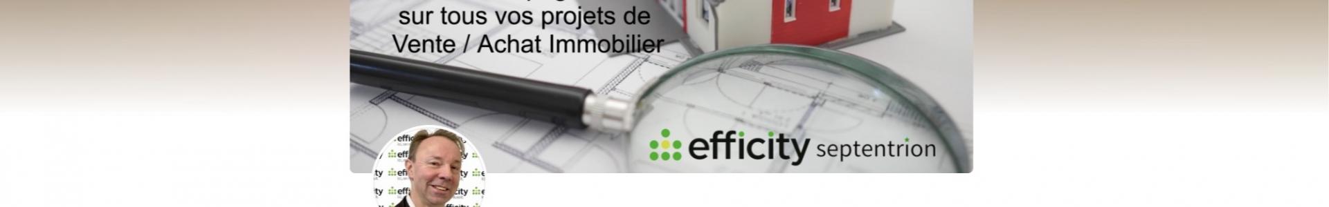 image de couverture de efficity immobilier - Serge Brackman