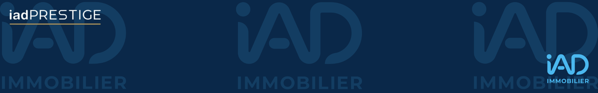 image de couverture de iad France - Sylvain Reclus