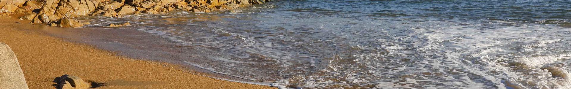 image de couverture de iad France - Alexis Cheziere