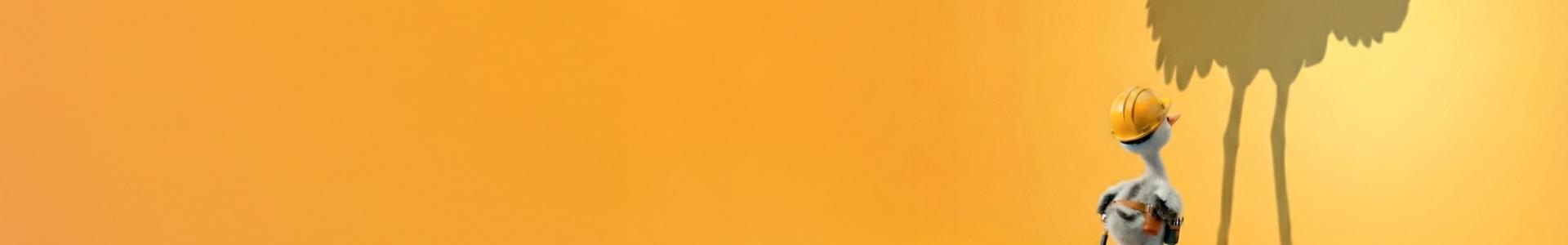 image de couverture de Evoludim