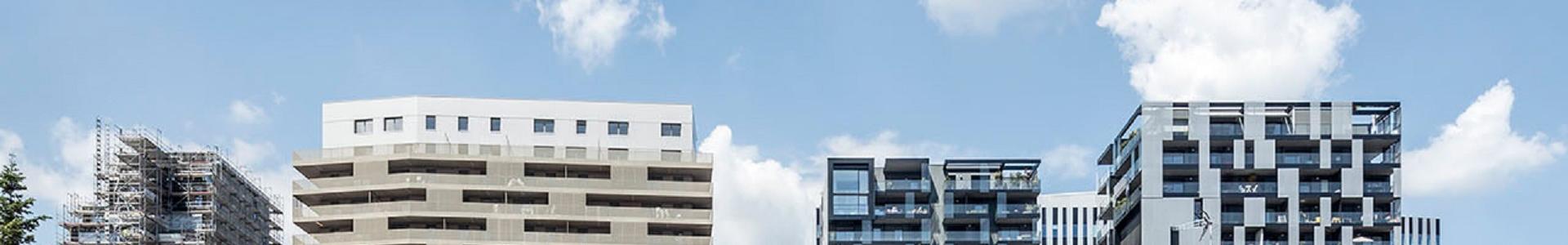 Image de couverture de Strasbourg Immobilier