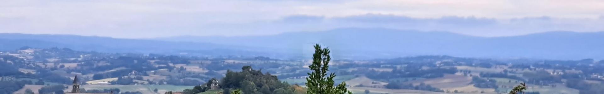 image de couverture de Expertimo - Sabine LAUTREC