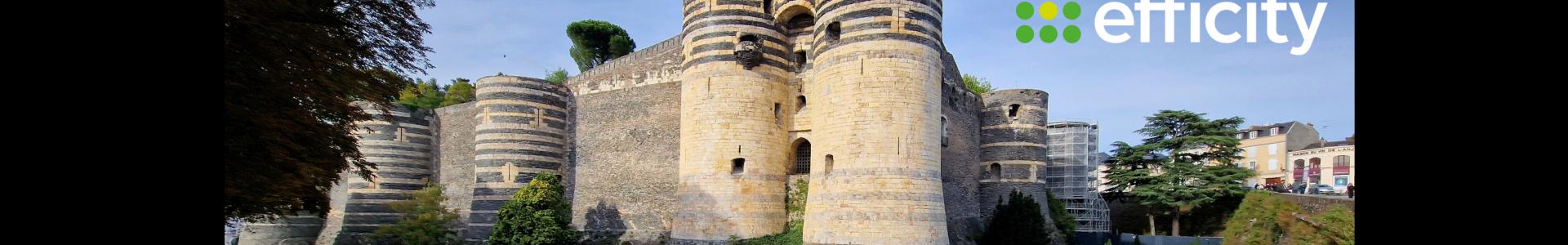 image de couverture de efficity immobilier - Laurent Christophe