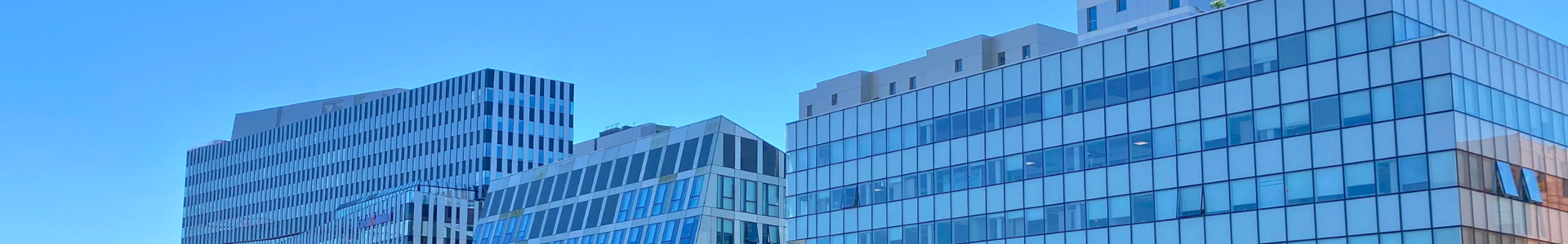 image de couverture de Rive Gauche CBRE