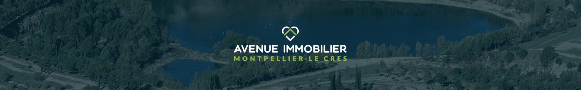 image de couverture de Avenue Immobilier Montpellier