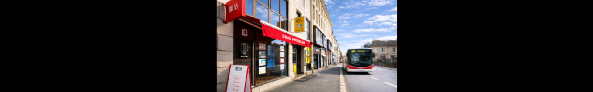 image de couverture de BRAS Immobilier
