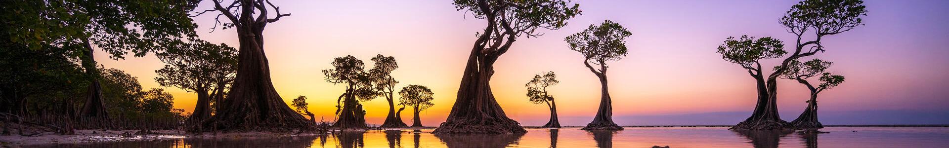 Image de couverture de efficity immobilier - Olivier Geraci