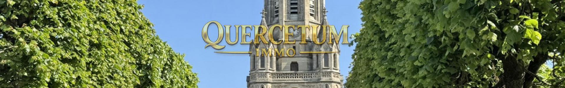 image de couverture de Expertimo - Corinne POILLEUX