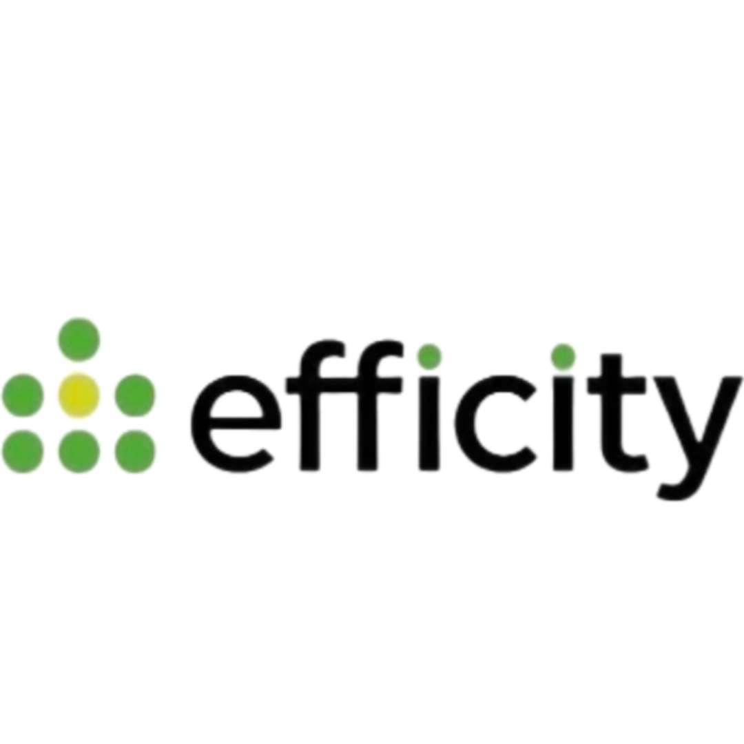 Logo de efficity immobilier - Dominique Leriche