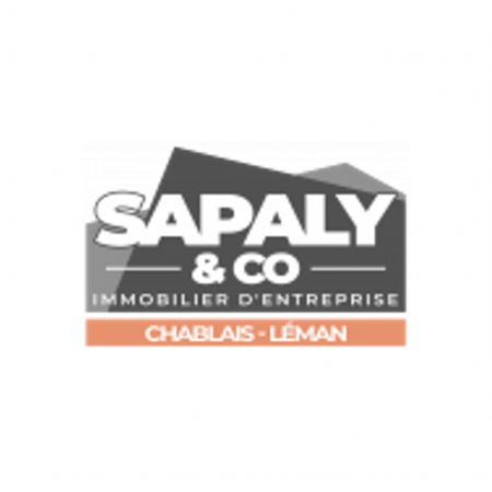 Logo de Sapaly & Co