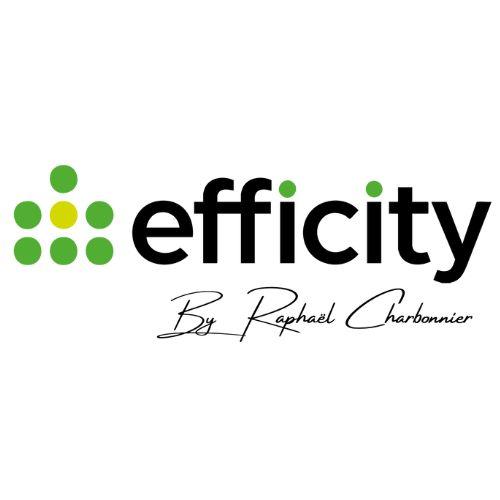 Logo de efficity immobilier - Raphaël Charbonnier
