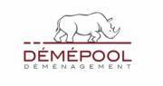 Logo de Demepool