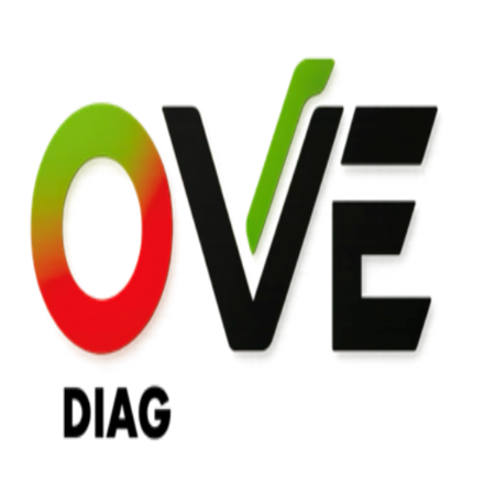 Logo de OVE Diag
