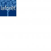 Logo de LaforÊt Immobilier