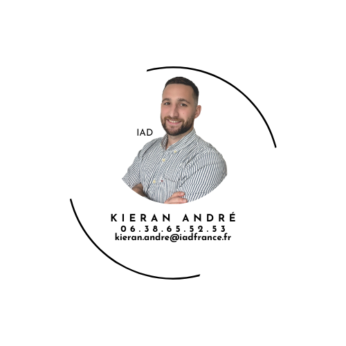 Logo de iad France - Kieran Andre