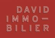 Logo de David Immobilier Gestion