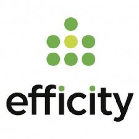 Logo de efficity - Annely Masmondet
