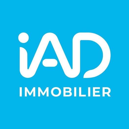 Logo de iad France - Fabien Vanhalst - chaigneau