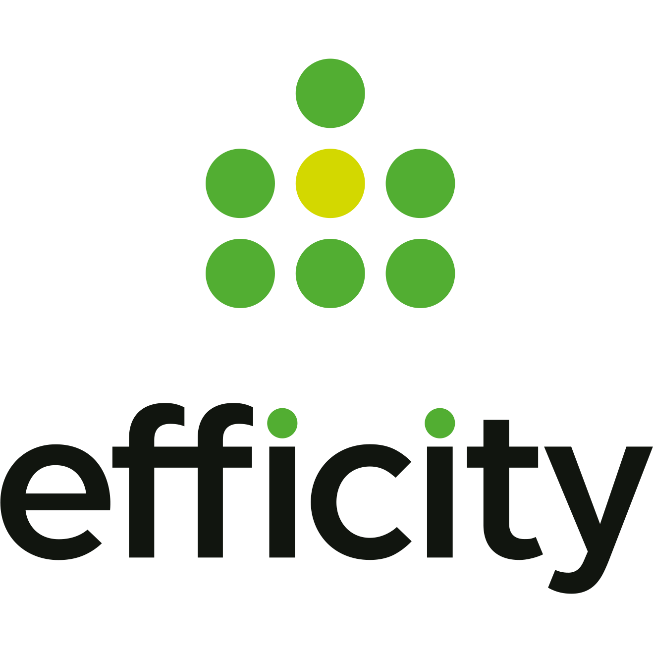 Logo de efficity - Florence Kaczmarek