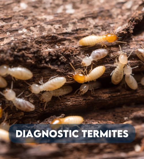 Média de Activ'Expertise Val d'Oise Centre - n°7