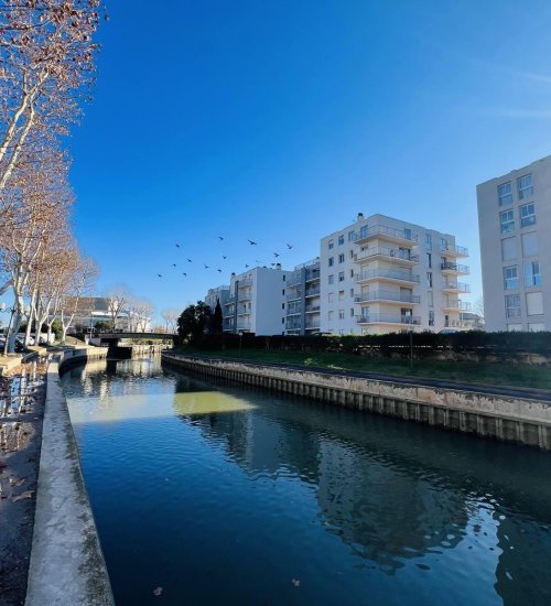 Média de iad France - Sylvie Tzarenko - n°3