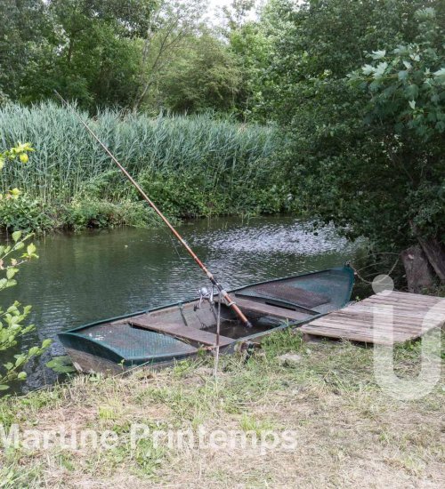 Média de iad France - Martine Printemps - n°7