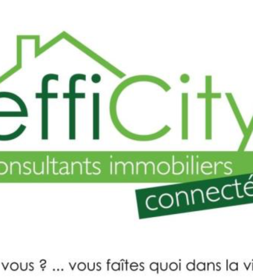 Média de efficity - Willy Delhumeau - n°6