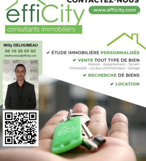 Média de efficity - Willy Delhumeau - n°7