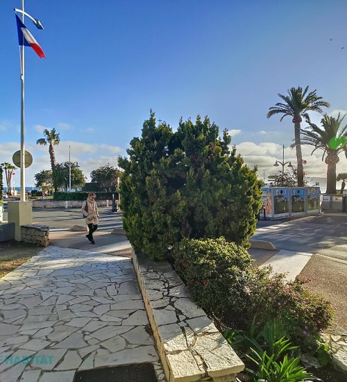 Média de Square Habitat Transactions - Saint-Raphaël Vadon - n°12