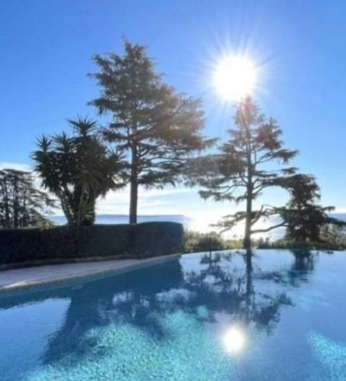 Média de iad France - Josy Terreni - n°4