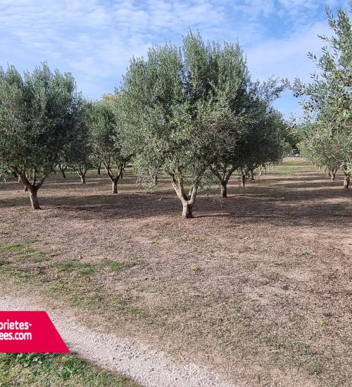 Média de Proprietes-privees.com - Claudine ROSIER - n°12