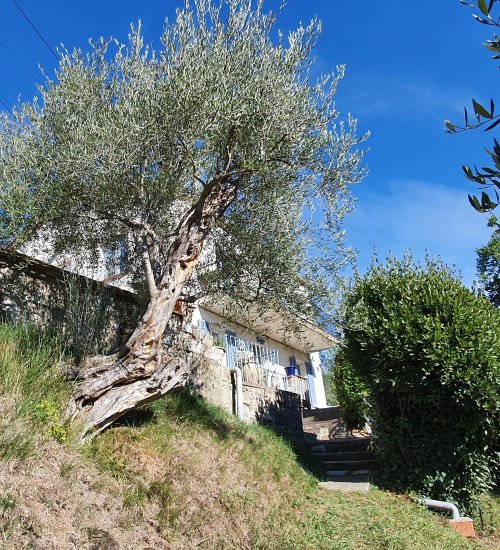 Média de iad France - Josy Terreni - n°10