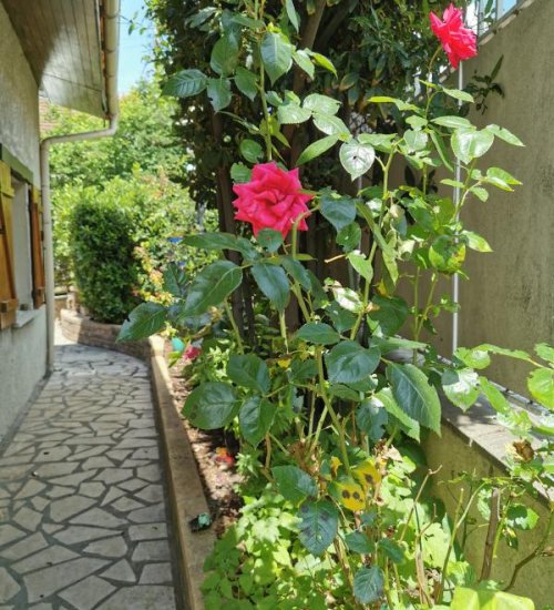 Média de iad France - Jean-Marie Lang - n°8