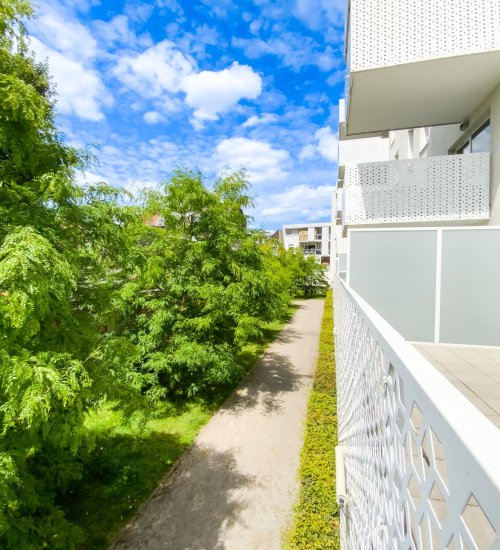 Média de iad France - Grégory Ansart - n°6