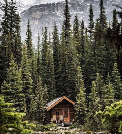 Média de iad France - Grégory Ansart - n°10