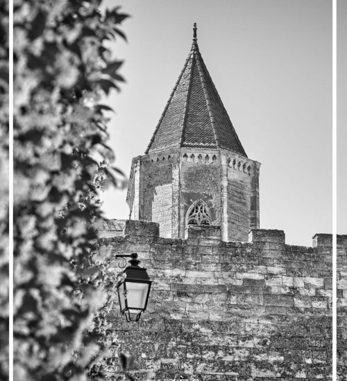 Média de iad France - Rémy Buxo - n°2