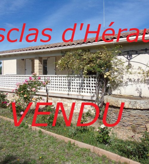 Média de REVO IMMO - Catherine Ekmekdjian - n°16