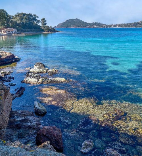 Média de iad France - Christophe Cuypers - n°1