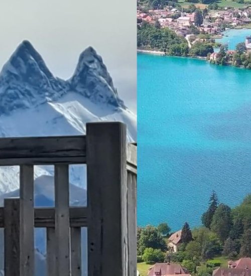 Média de iad France - Didier Gonzalez - n°1