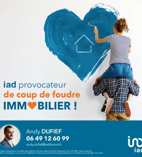 Média de iad France - Andy Dufief - n°3