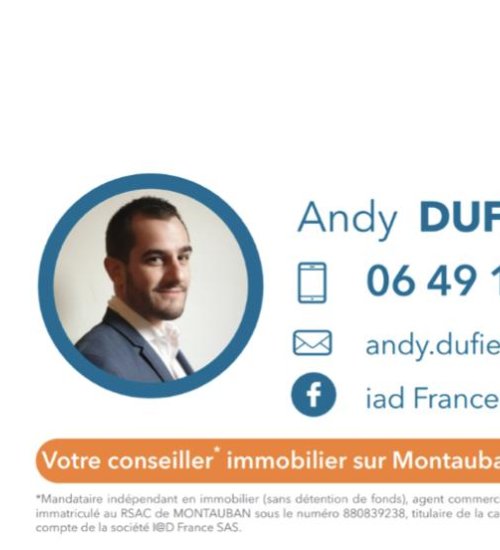 Média de iad France - Andy Dufief - n°5