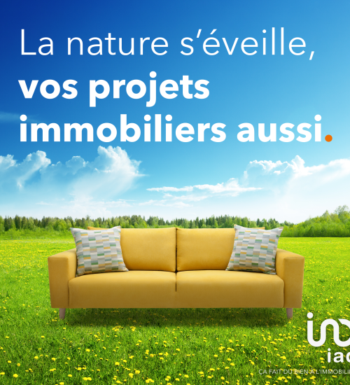 Média de iad France - Noëmie Saffre - n°16