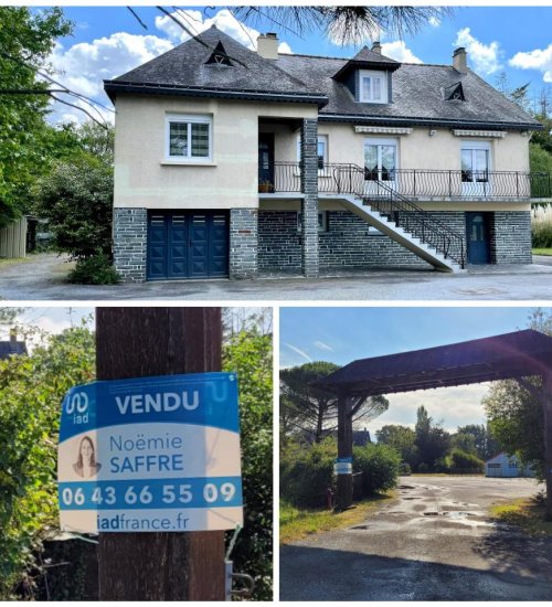 Média de iad France - Noëmie Saffre - n°4