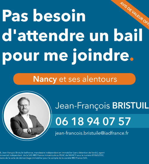 Média de iad France - Jean-François Bristuile - n°4