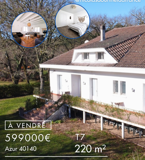 Média de iad France - Nicolas Dourthe - n°5