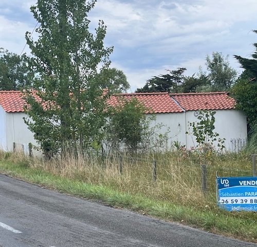 Média de iad France - Sébastien Paradis - n°6