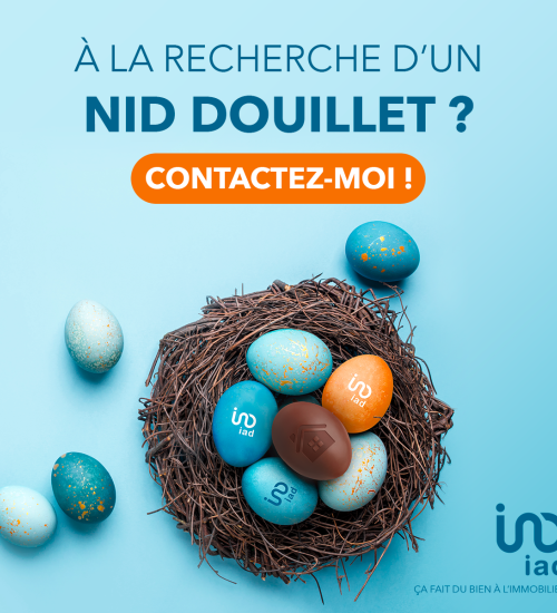 Média de iad France - Jérome Guillome - n°4